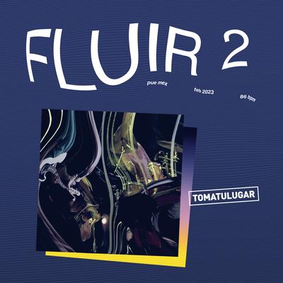 FLUIR 2's cover