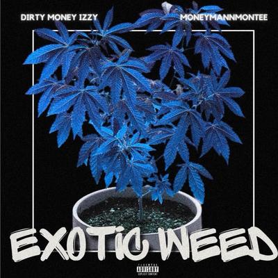 ExoticWeed's cover