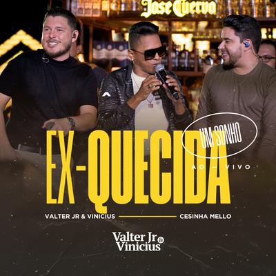 Ex-Quecida (Um Sonho) (Ao Vivo) By Valter Jr & Vinicius, CESINHA MELLO's cover