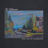 The Wildwoods's avatar cover