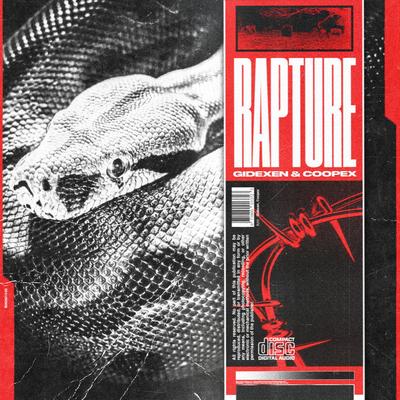Rapture By Gidexen, Coopex's cover