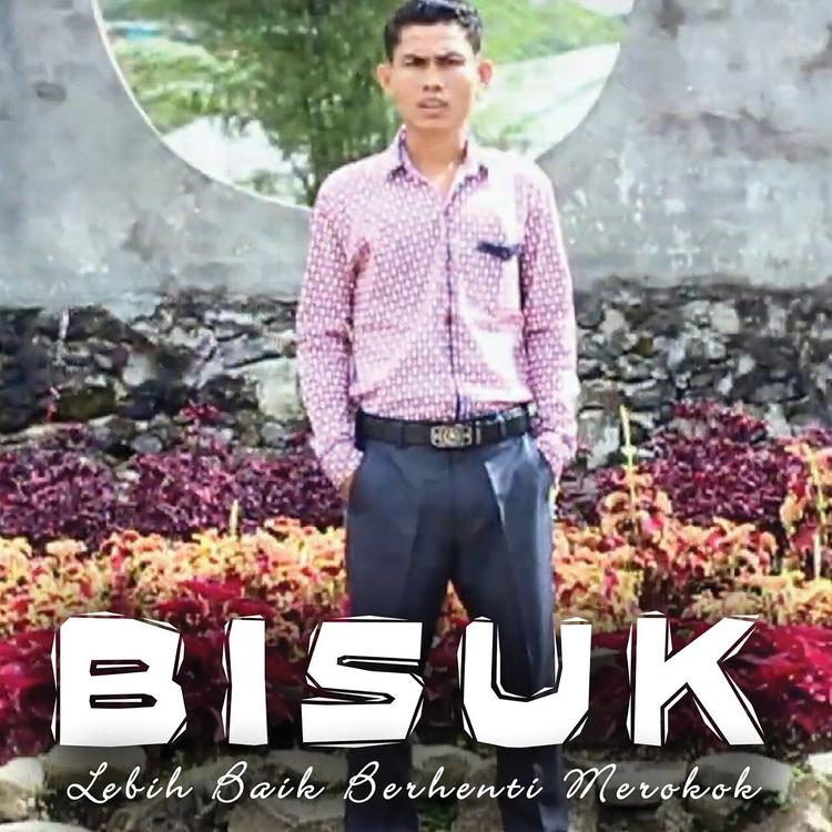 Bisuk Hasiholan Panggabean's avatar image