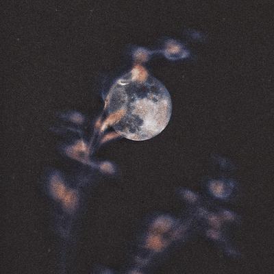 The Moon Looks Pretty Tonight By Hotel Pools's cover