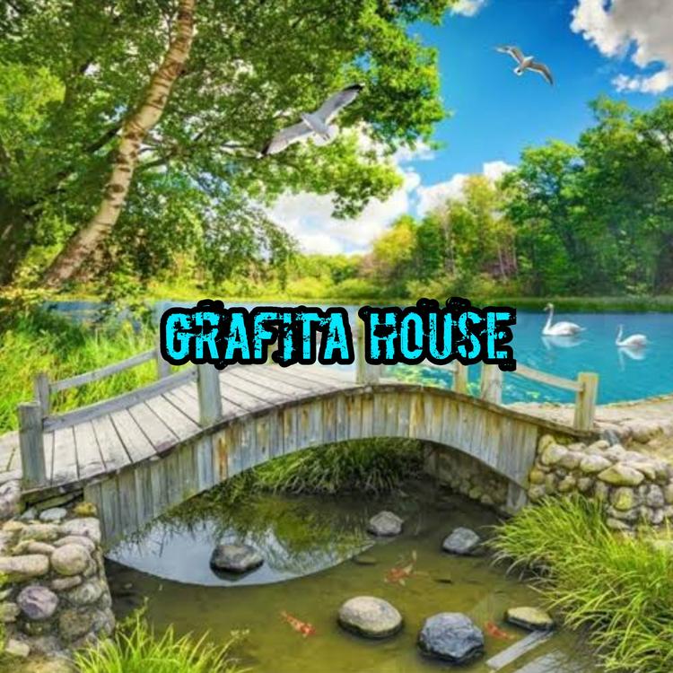 Grafita House's avatar image