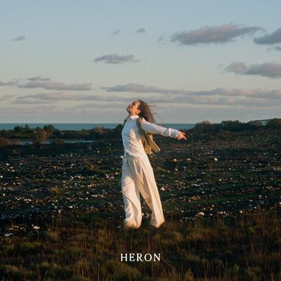 Heron's cover