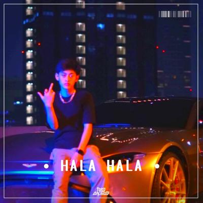 DJ HALA HALA MENGKANE's cover