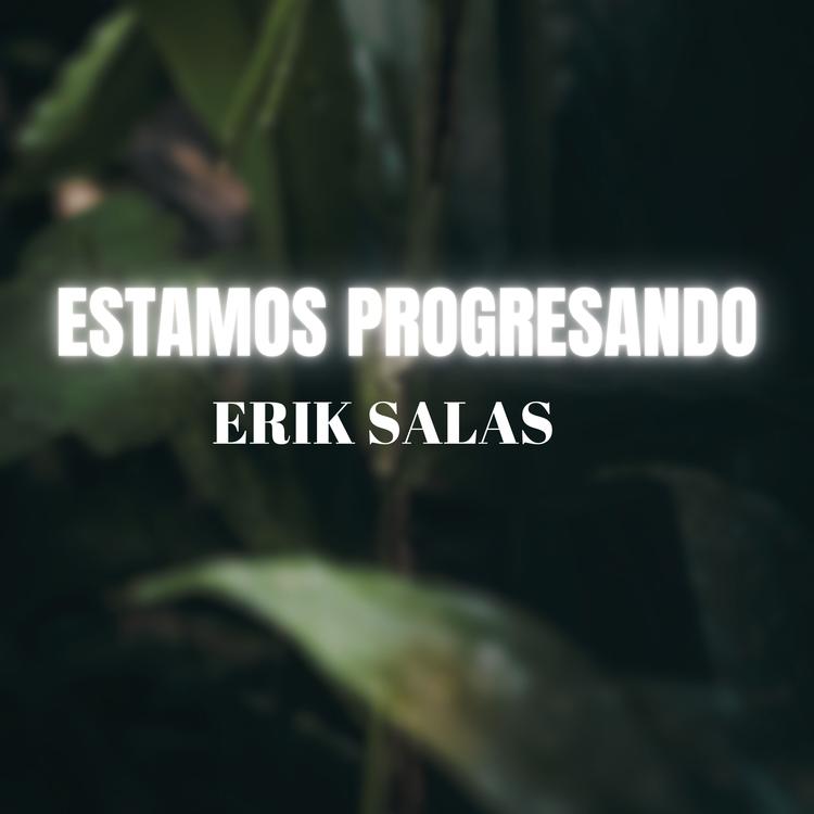 Erik Salas's avatar image