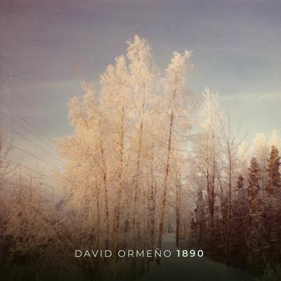 1890 By David Ormeño's cover