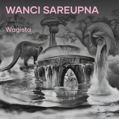 Wanci Sareupna (Cover)'s cover