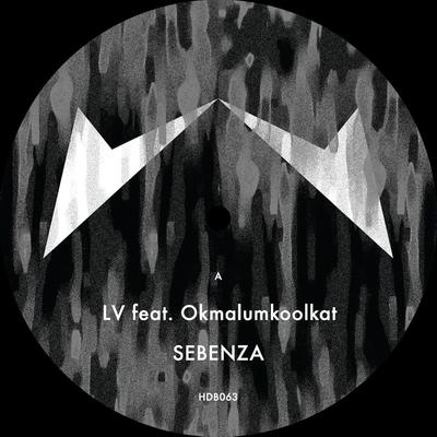 Sebenza By Okmalumkoolkat, LV's cover