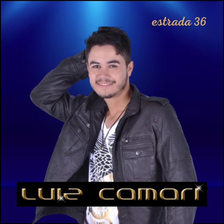 Luiz Camari's avatar image