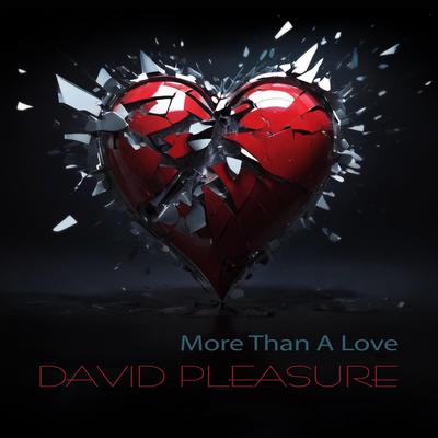 More Than a Love By David Pleasure's cover