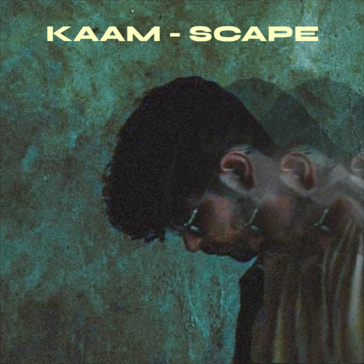 Scape's avatar image