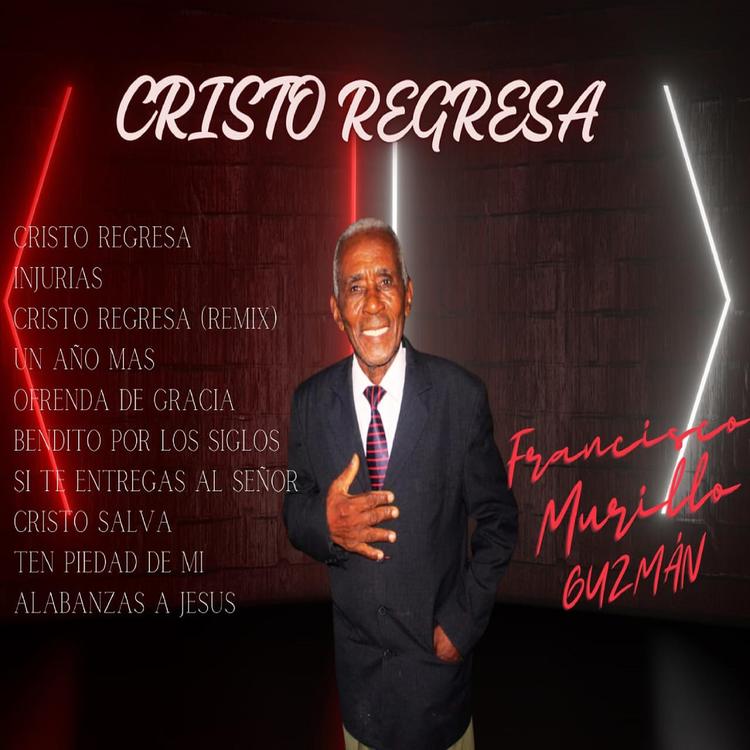 Francisco Murillo Guzman's avatar image