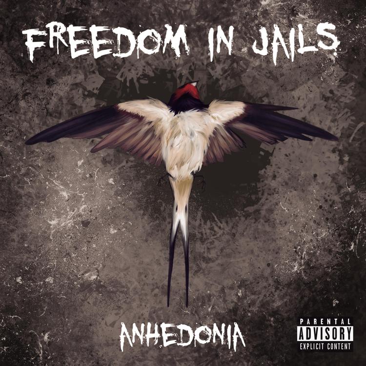 Freedom In Jails's avatar image