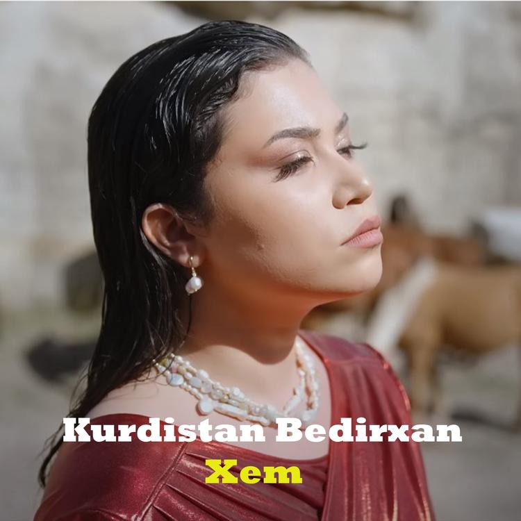 Kurdistan Bedirxan's avatar image