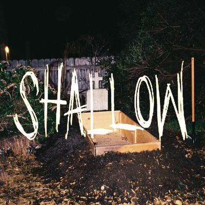 Shallow's cover
