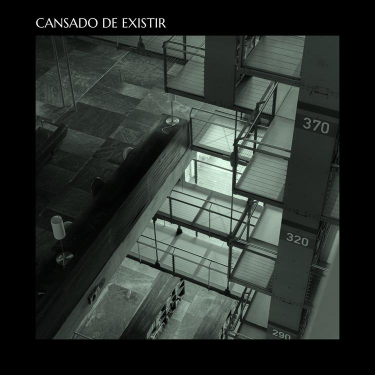 Cansado De Existir's avatar image