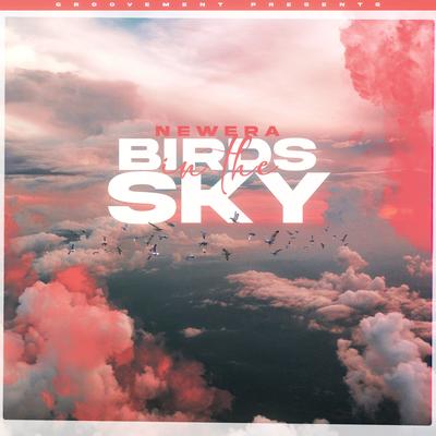 Birds In The Sky By NewEra's cover