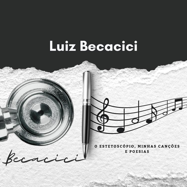 Luiz Becacici's avatar image