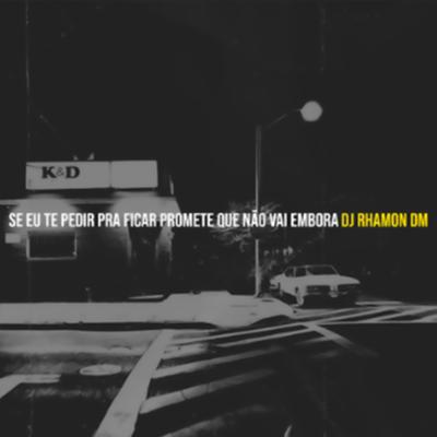 Se Eu Te Pedir Pra Ficar Promete Que Não Vai Embora By Dj Rhamon Dm's cover