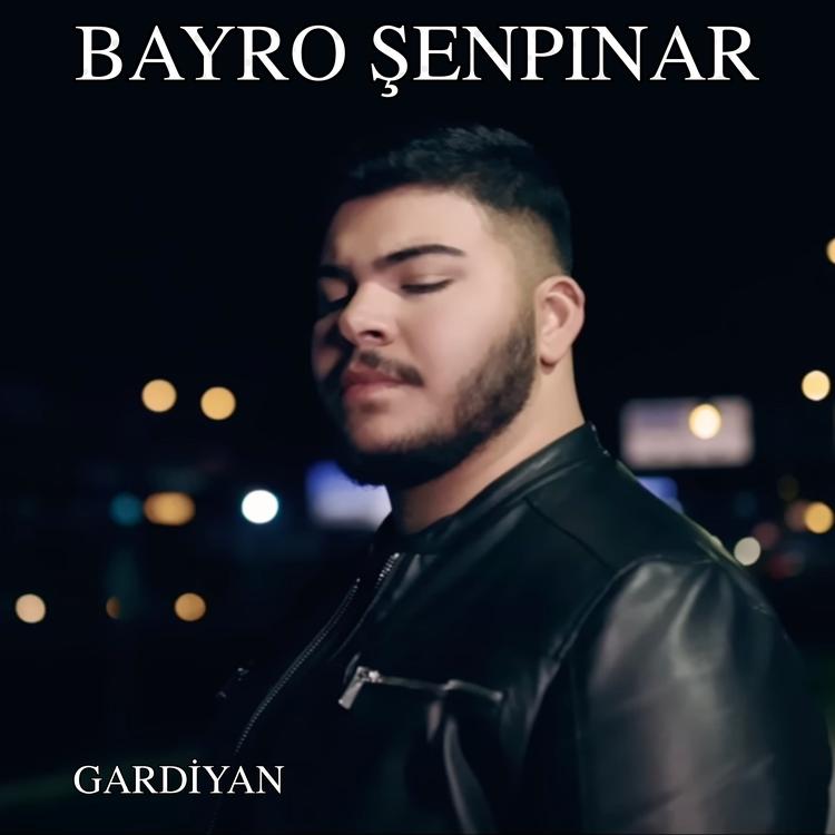 Bayro Şenpınar's avatar image