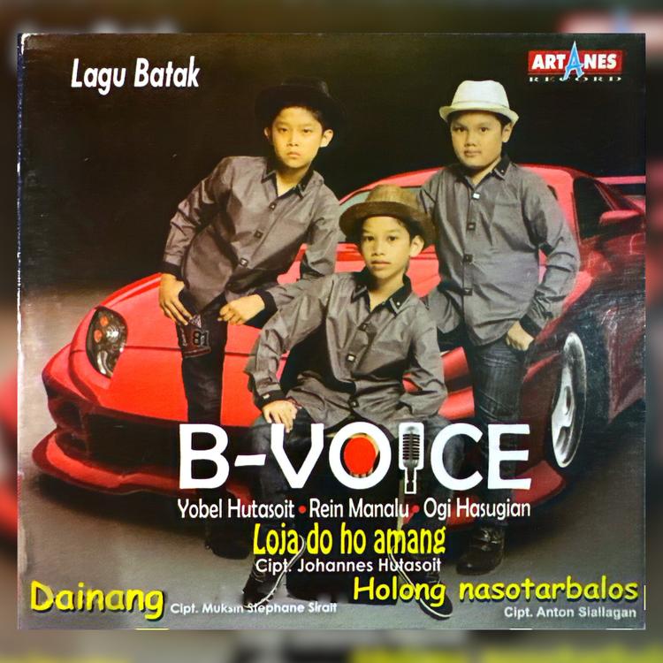 Bvoice's avatar image