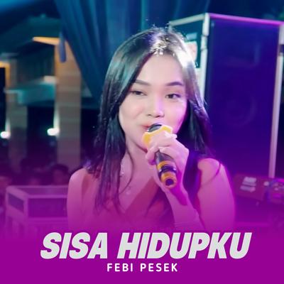 Sisa Hidupku's cover