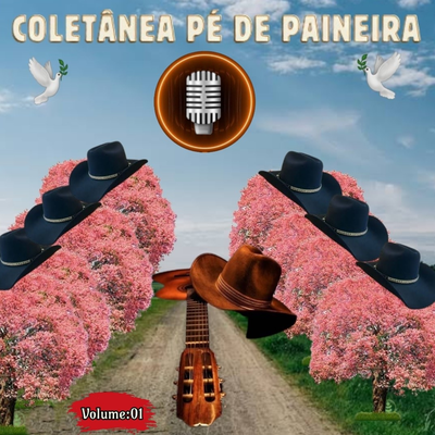 Boléia de Caminhão's cover