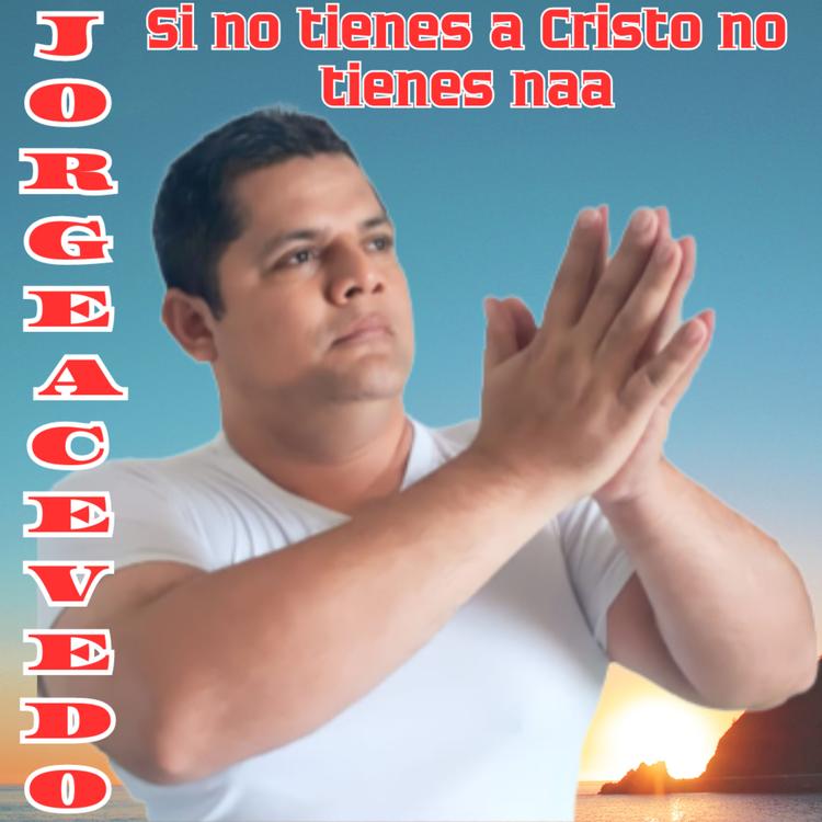 Jorge Acevedo's avatar image