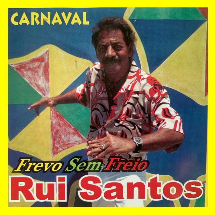 Rui Santos's avatar image
