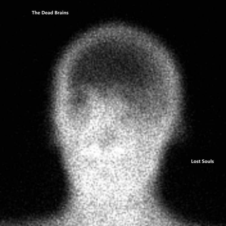 The Dead Brains's avatar image