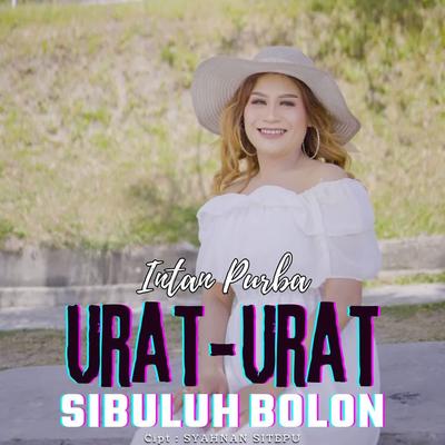 Urat-Urat Sibuluh Bolon's cover