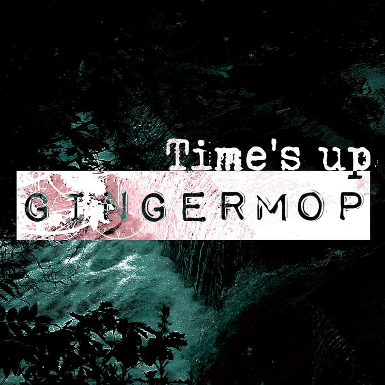 Gingermop's avatar image