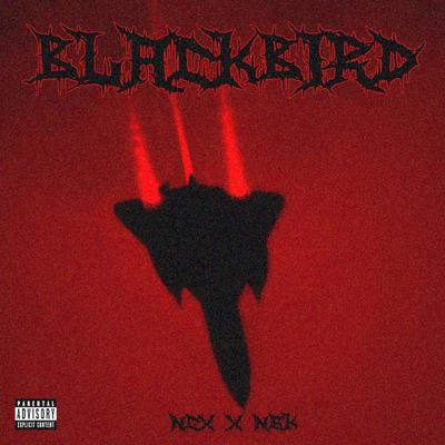 BLACKB!RD (slowed)'s cover