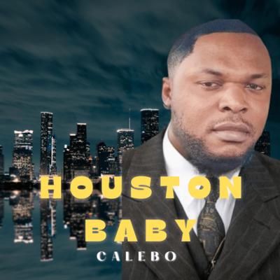Houston Baby's cover