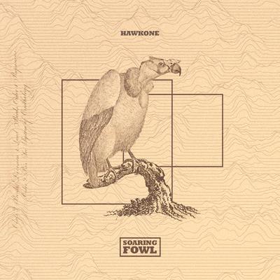 Soaring Fowl By HawkOne's cover