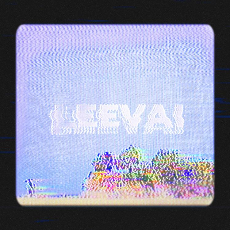 LEEVAI's avatar image