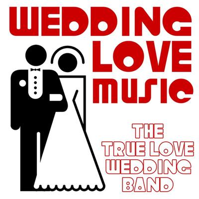 Shes Like the Wind By The True Love Wedding Band's cover