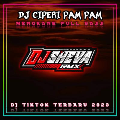 Dj Ciperi Pam Pam x Maimunah Imut Aisyah Mashup Mengkane Full Bass (Ins)'s cover