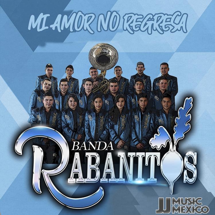 Banda Rabanitos's avatar image