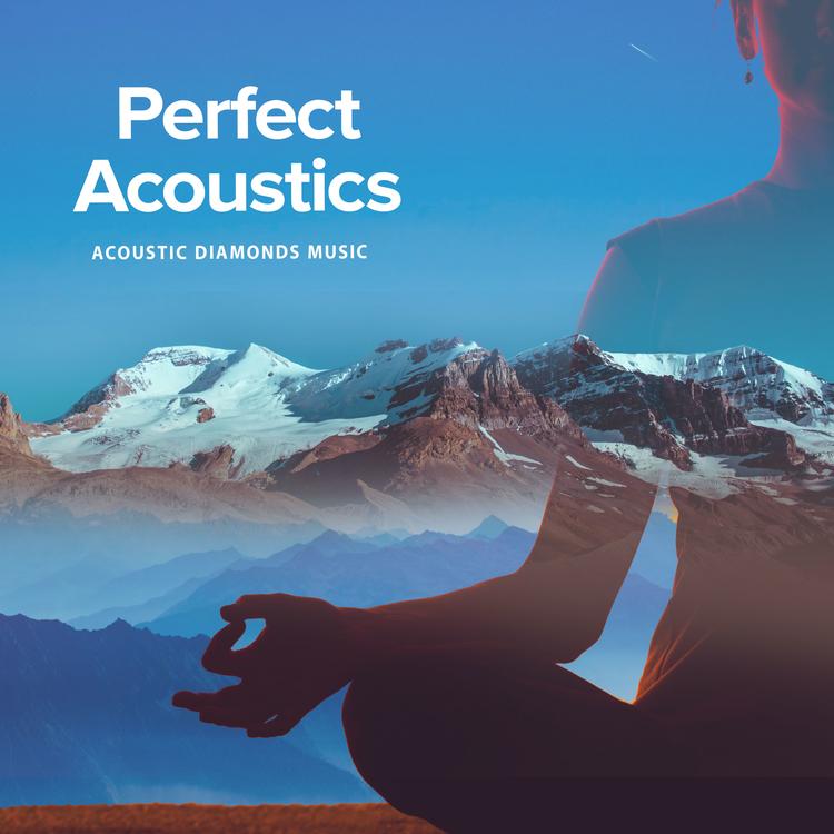 Acoustic Diamonds Music's avatar image