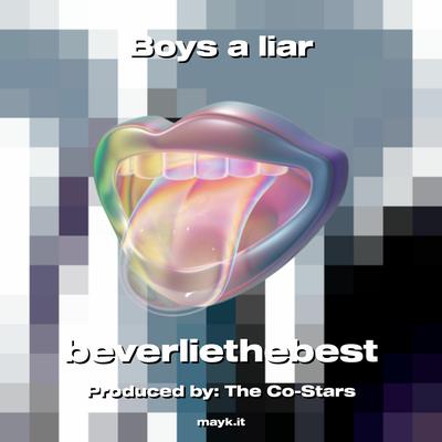 Boys a liar's cover