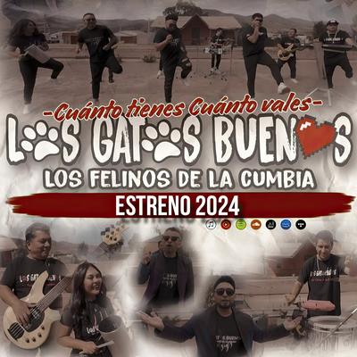 Los Gatos Buenos's cover