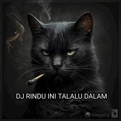 DJ RINDU INI TALALU DALAM's cover