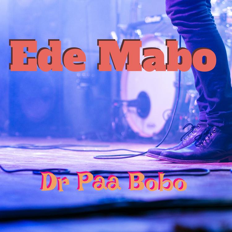 Dr Paa Bobo's avatar image