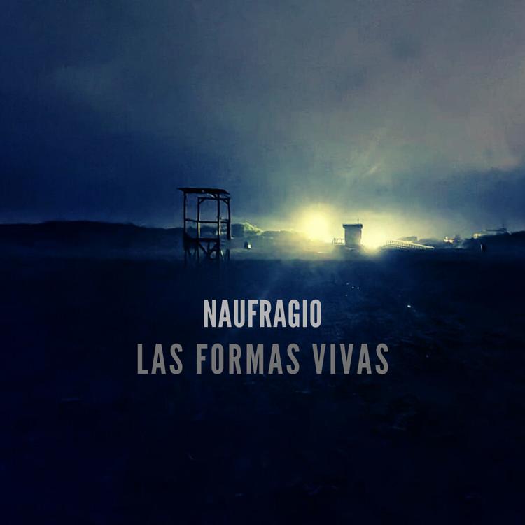 Las Formas Vivas's avatar image