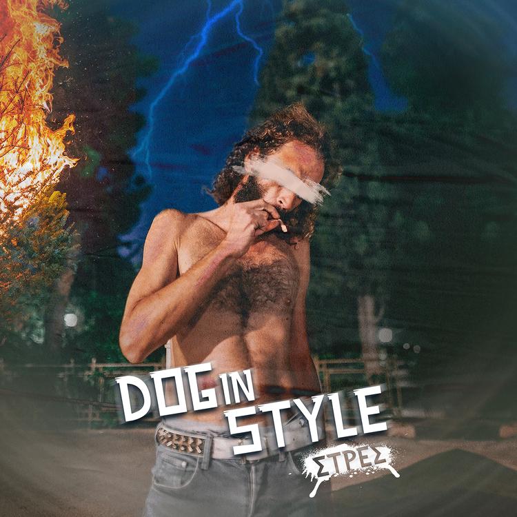 Dog In Style's avatar image