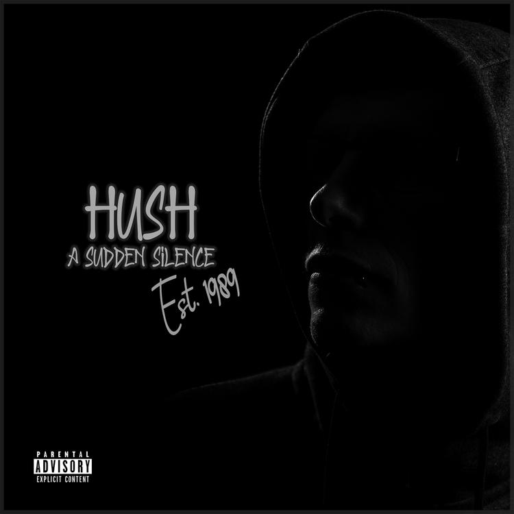 Hush: A Sudden Silence's avatar image