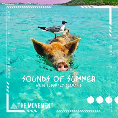 Sounds Of Summer's cover